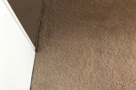 Carpet Cleaning in Deer Park