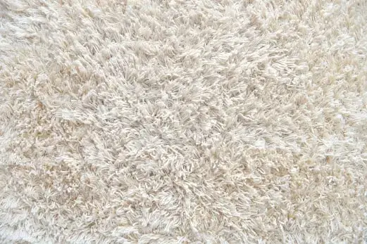 Carpet Cleaning in Deer Park